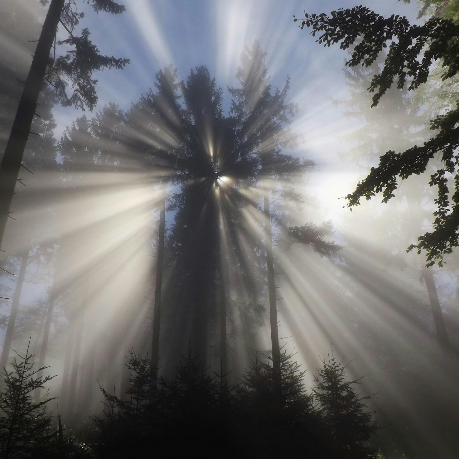 Meditation practice space with cushions arranged in circle